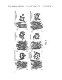 METHODS AND APPARATUS FOR PREDICTING PROTEIN STRUCTURE diagram and image