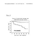 METHOD OF CLASSIFYING GENE EXPRESSION STRENGTH IN LUNG CANCER TISSUES diagram and image