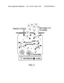 ANTIGEN-BINDING MOLECULE CAPABLE OF BINDING TO TWO OR MORE ANTIGEN     MOLECULES REPEATEDLY diagram and image