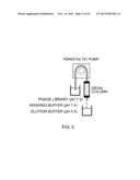 ANTIGEN-BINDING MOLECULE CAPABLE OF BINDING TO TWO OR MORE ANTIGEN     MOLECULES REPEATEDLY diagram and image