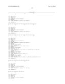 CHIMERIC PEPTIDES INCLUDING A PENETRATING PEPTIDE AND A BINDING DOMAIN OF     PP2A CATALYTIC SUBUNIT TO CASPASE-9 diagram and image