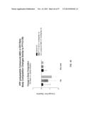 PANCREATIC POLYPEPTIDE FAMILY MOTIFS, POLYPEPTIDES AND METHODS COMPRISING     THE SAME diagram and image