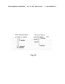 PEPTIDE ANALOGS OF ALPHA-MELANOCYTE STIMULATING HORMONE diagram and image