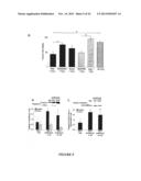 CELL-PROTECTIVE PEPTIDES AND USES THEREOF diagram and image