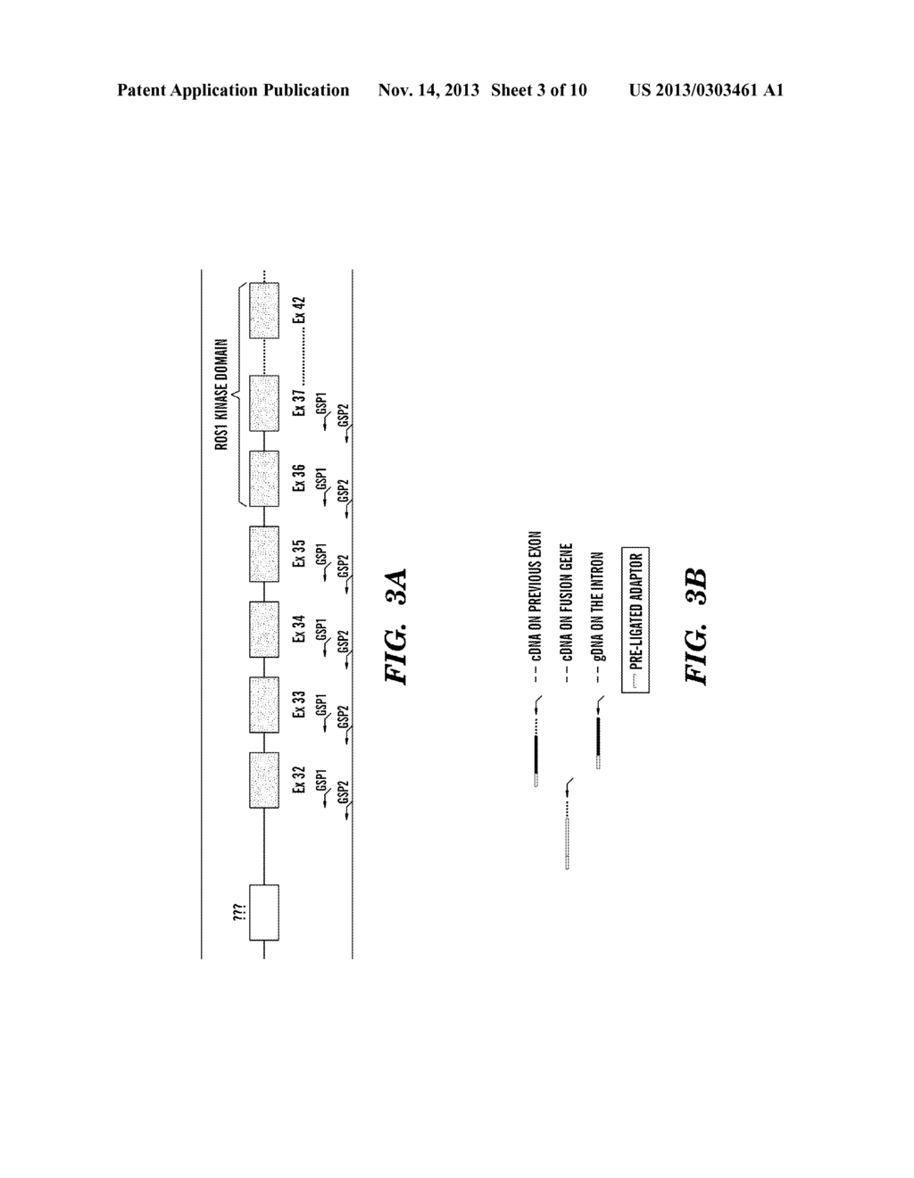 METHODS FOR DETERMINING A NUCLEOTIDE SEQUENCE - diagram, schematic, and image 04