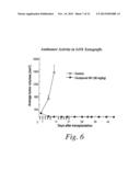 MULTIKINASE INHIBITORS FOR USE IN THE TREATMENT OF CANCER diagram and image