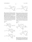 MULTIKINASE INHIBITORS FOR USE IN THE TREATMENT OF CANCER diagram and image