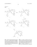 MULTIKINASE INHIBITORS FOR USE IN THE TREATMENT OF CANCER diagram and image