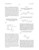 SUBSTITUTED HETERO-BIARYL COMPOUNDS AND THEIR USES diagram and image