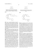 SUBSTITUTED HETERO-BIARYL COMPOUNDS AND THEIR USES diagram and image