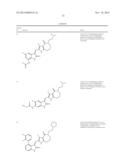 Methods of Inhibiting the Catalytic Activity of a Protein Kinase and of     Treating a Protein Kinase Related Disorder diagram and image