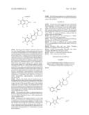 Methods of Inhibiting the Catalytic Activity of a Protein Kinase and of     Treating a Protein Kinase Related Disorder diagram and image