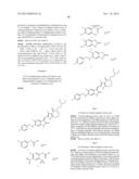 Methods of Inhibiting the Catalytic Activity of a Protein Kinase and of     Treating a Protein Kinase Related Disorder diagram and image