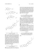 Methods of Inhibiting the Catalytic Activity of a Protein Kinase and of     Treating a Protein Kinase Related Disorder diagram and image