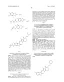 Methods of Inhibiting the Catalytic Activity of a Protein Kinase and of     Treating a Protein Kinase Related Disorder diagram and image