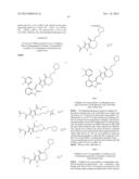 Methods of Inhibiting the Catalytic Activity of a Protein Kinase and of     Treating a Protein Kinase Related Disorder diagram and image