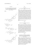 Methods of Inhibiting the Catalytic Activity of a Protein Kinase and of     Treating a Protein Kinase Related Disorder diagram and image