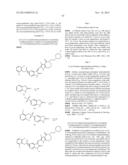 Methods of Inhibiting the Catalytic Activity of a Protein Kinase and of     Treating a Protein Kinase Related Disorder diagram and image