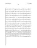 GENETIC POLYMORPHISMS ASSOCIATED WITH STROKE, METHODS OF DETECTION AND     USES THEREOF diagram and image