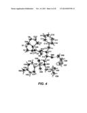 Pseudopolymorphic Forms Of A HIV Protease Inhibitor diagram and image