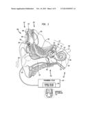 USING INTERACTION TO MEASURE NEURAL EXCITATION diagram and image