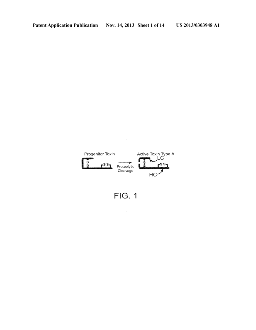 SYSTEMS AND METHODS FOR DELIVERY OF A THERAPEUTIC AGENT - diagram, schematic, and image 02