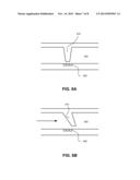 METERS FOR IN-VIVO MONITORING diagram and image