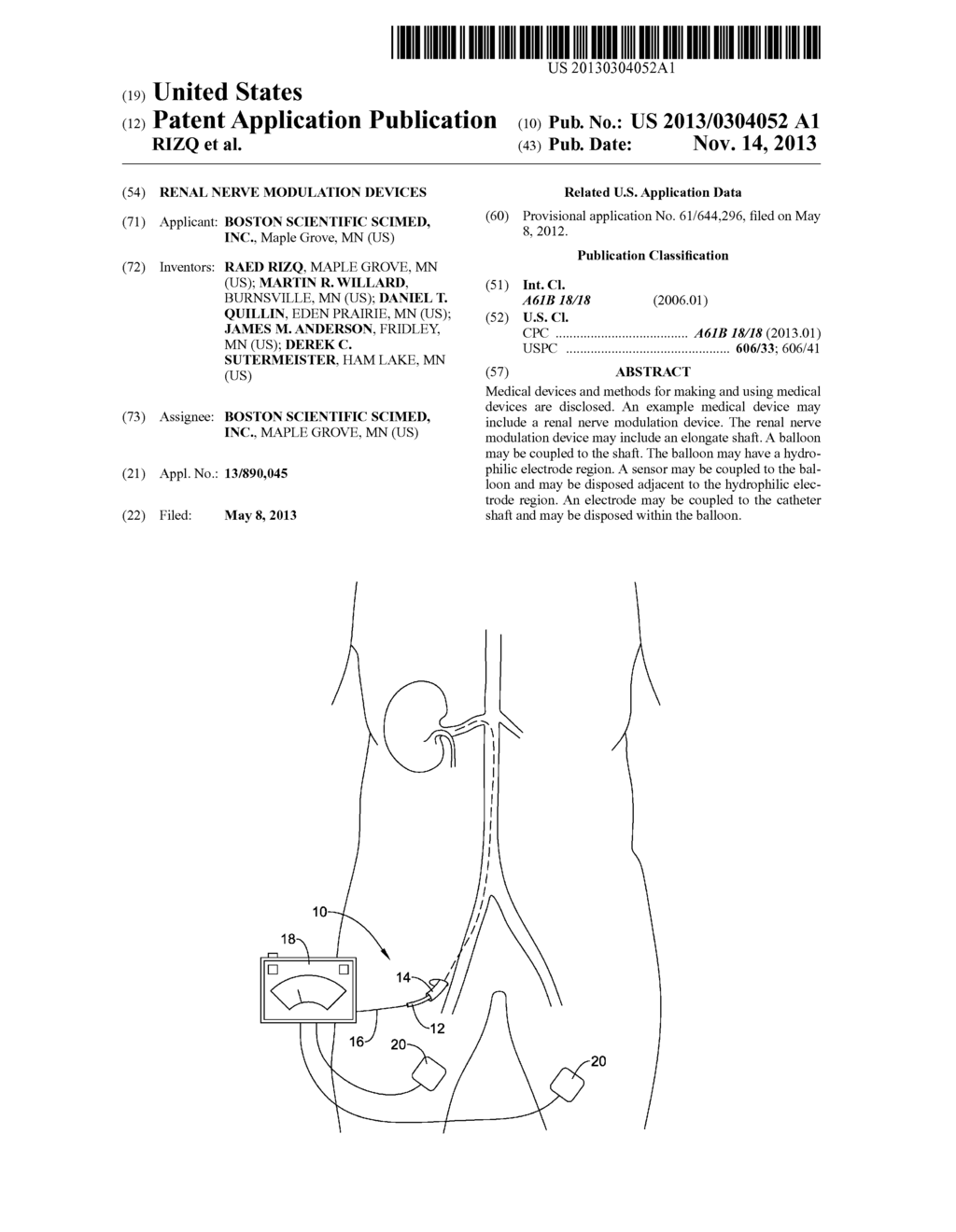 RENAL NERVE MODULATION DEVICES - diagram, schematic, and image 01