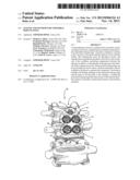 SYSTEM AND METHOD FOR VERTEBRAL BODY PLATING diagram and image