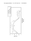 SYSTEM AND METHOD OF DETERMINING ROTOR LOADS AND MOTION diagram and image