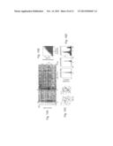 Spike-timing computer modeling of working memory diagram and image