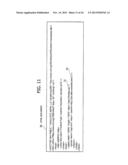 INFORMATION PROCESSING APPARATUS AND COMPUTER-READABLE MEDIUM STORING     INFORMATION PROCESSING PROGRAM diagram and image