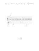 TLS ABBREVIATED SESSION IDENTIFIER PROTOCOL diagram and image