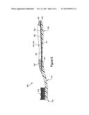 ORAL CARE IMPLEMENT HAVING A DECORATIVE MEMBER AND A METHOD OF FORMING THE     SAME diagram and image