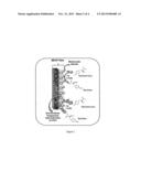 Molecularly Imprinted Conducting Polymer Film Based Aqueous Amino Acid     Sensors diagram and image