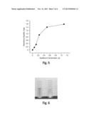 Process for obtaining an adsorbent from avocado waste and use of the     adsorbent diagram and image