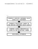 BIOSENSOR COMPRISING REDUCED GRAPHENE OXIDE LAYER diagram and image