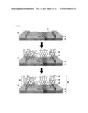 BIOSENSOR COMPRISING REDUCED GRAPHENE OXIDE LAYER diagram and image