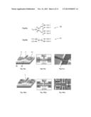 3D NANO-ELECTRO-MECHANICAL MULTIPLE-STATE CARBON NANOTUBE DEVICE     STRUCTURES AND METHODS OF FABRICATION diagram and image