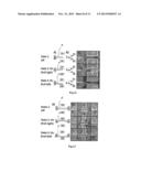 3D NANO-ELECTRO-MECHANICAL MULTIPLE-STATE CARBON NANOTUBE DEVICE     STRUCTURES AND METHODS OF FABRICATION diagram and image