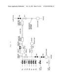 VACUUM TUBE AND VACUUM TUBE MANUFACTURING APPARATUS AND METHOD diagram and image