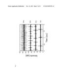 STATIC-ELECTRICITY ELECTRIFICATION MEASUREMENT METHOD AND APPARATUS diagram and image