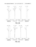 ZOOM LENS AND IMAGE PICKUP APPARATUS HAVING THE SAME diagram and image