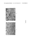 MAGNETICALLY MODIFIED MANGANESE DIOXIDE ELECTRODES FOR ASYMMETRIC     SUPERCAPACITORS diagram and image