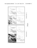 IMAGE PROCESSING APPARATUS, IMAGE PROCESSING METHOD, AND PROGRAM diagram and image