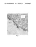 CATALYSTS, ACTIVATING AGENTS, SUPPORT MEDIA, AND RELATED METHODOLOGIES     USEFUL FOR MAKING CATALYST SYSTEMS ESPECIALLY WHEN THE CATALYST IS     DEPOSITED ONTO THE SUPPORT MEDIA USING PHYSICAL VAPOR DEPOSITION diagram and image