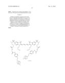 BACTERIAL IMAGING AGENTS AND METHODS OF USING SAME diagram and image