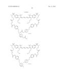 BACTERIAL IMAGING AGENTS AND METHODS OF USING SAME diagram and image