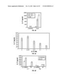 INHIBITION OF IL-17 PRODUCTION diagram and image