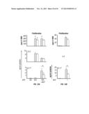 INHIBITION OF IL-17 PRODUCTION diagram and image